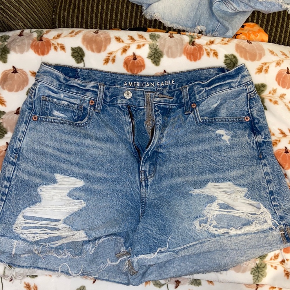 American Eagle Mom Denim Shorts
